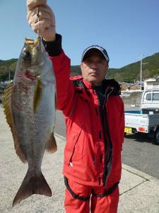 沖一文字内向きカゴ釣り、イサギ38cm釣れ…