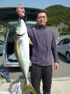 出ました！68cmのメジロ♪　沖一文字外向…