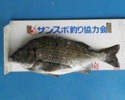 野原磯 チヌ開幕!