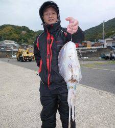 工場裏で良型アオリイカ☆ヤエン 活けアジ釣果☆