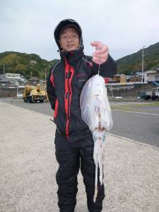 工場裏で良型アオリイカ☆ヤエン 活けアジ釣…