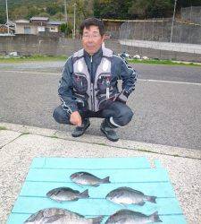 ケムリ島でフカセ釣り、グレ・チヌの釣果