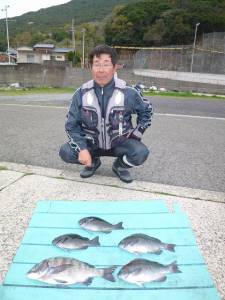 ケムリ島でフカセ釣り、グレ・チヌの釣果