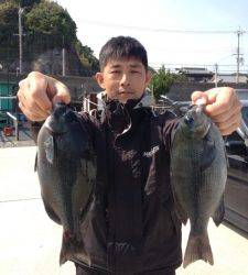 尾長グレも釣れました♪沖の長島フカセ釣果