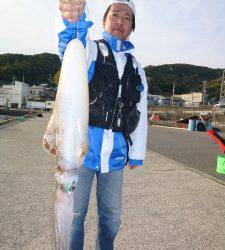 アオリイカ快釣★これから期待です