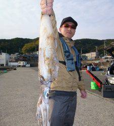 アオリイカ快釣★これから期待です