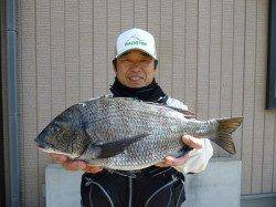 湯浅の磯でフカセ釣り、綺麗なチヌ3枚の釣果☆