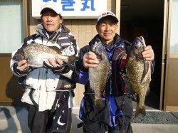 チヌ、50cmを始め良型です☆湯浅でフカセ釣り