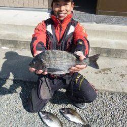 北風が強いですが…チヌ40cmを頭に3枚