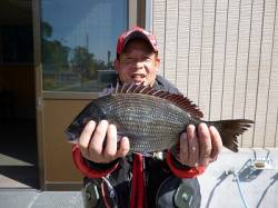 湯浅の磯、フカセ釣りと紀州釣りでチヌ・グレ…