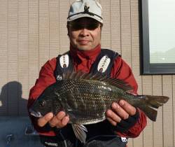 湯浅の磯でフカセ釣り、ナイスサイズのチヌも…