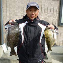 湯浅の磯16日はチヌとマダイが揚がっています♪