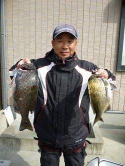 湯浅の磯16日はチヌとマダイが揚がっています♪