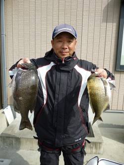 湯浅の磯16日はチヌとマダイが揚がっていま…