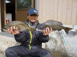 湯浅の磯でフカセ釣り、皆様良く釣られています！