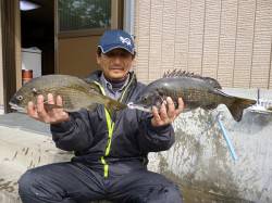 湯浅の磯でフカセ釣り、皆様良く釣られていま…