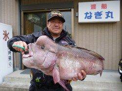 大物が揚がりました★カンダイ80cm！★