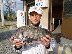 チヌ47cmを頭に4枚♪湯浅でボイルフカセ釣り