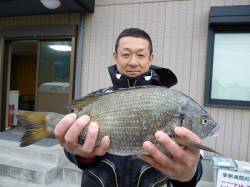湯浅の磯、フカセでチヌ、釣果も増えてきまし…