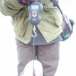 翼港南側のカーブでカンダイ釣り、7.3kg★