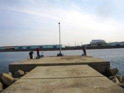 今朝も大津川尻でハネ♪ 泉大津RT 1日あさ