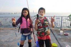 貝塚人工島☆イワシに続いてサヨリ☆