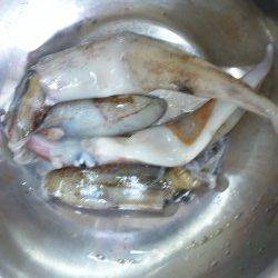 伊根エリア、エギングでヤリイカＧＥＴ