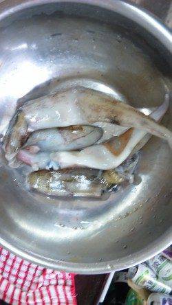 伊根エリア、エギングでヤリイカＧＥＴ