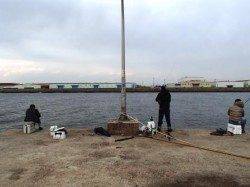 風が強い・・・11日夕方泉大津RT