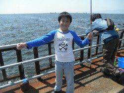 南港海釣り公園 メインはガシラで他ハネ　イワシの回遊も