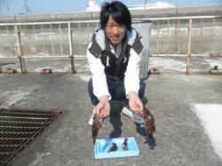 南港海釣り公園 メインはガシラで他ハネ　イ…