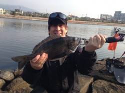 【初チヌゲット！珍客サヨリちゃん】南芦屋浜…