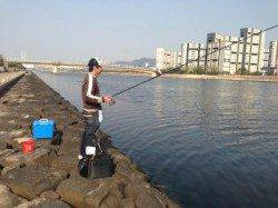 オキアミでハネ釣れました!南芦屋浜