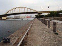 泉大津周辺　16日夕方RT