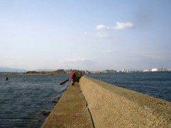 冬に逆戻り!?　泉大津ＲＴ　19日　あさ