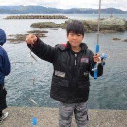 イワシが戻ってきた！　【２１日】田ノ浦RT