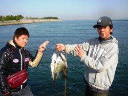 エビ撒きで3魚種♪　泉大津RT　22日あさ