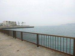 【カレイ釣れてます】アジュール舞子ＲＴ