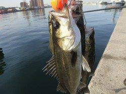 北公園ＲＴ、ハネ炸裂！！