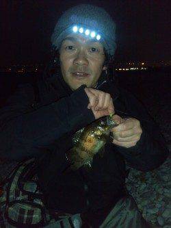 りんくうメバリング釣行♪二時間で9尾♪