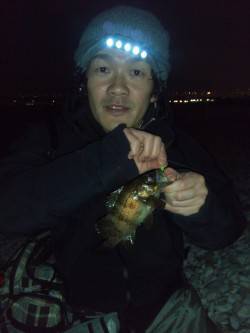 りんくうメバリング釣行♪二時間で9尾♪