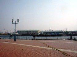 エビ撒きでハネ!バラシも!泉大津RT26日朝