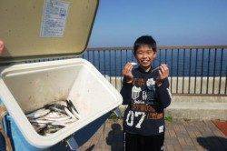 手軽にサビキ★GW★イワシ爆釣