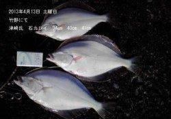 竹野 石カレイ34cm40cm41㎝