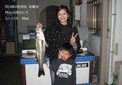 KIDS釣果♪円山川河口でシーバス！