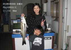 KIDS釣果♪円山川河口でシーバス！