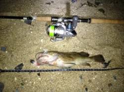 アジュール舞子～西舞子26cmのガシラの釣…