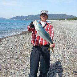 煙樹ヶ浜でショアジギング、65cmのメジロＧＥＴ！