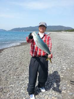 煙樹ヶ浜でショアジギング、65cmのメジロ…