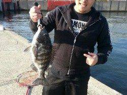 大阪南港 エビ撒きでハネ7匹＆チヌ